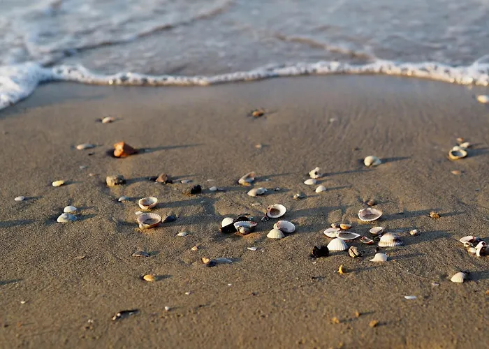 Precious Flat 100mt From The - Beahost * بيبيوني